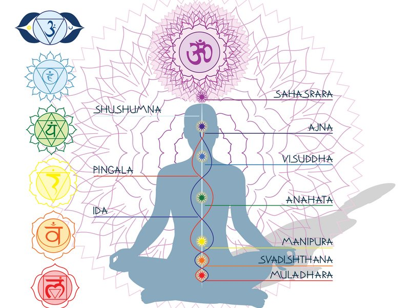 Семь основных чакр в теле человека и главные энергетические каналы
